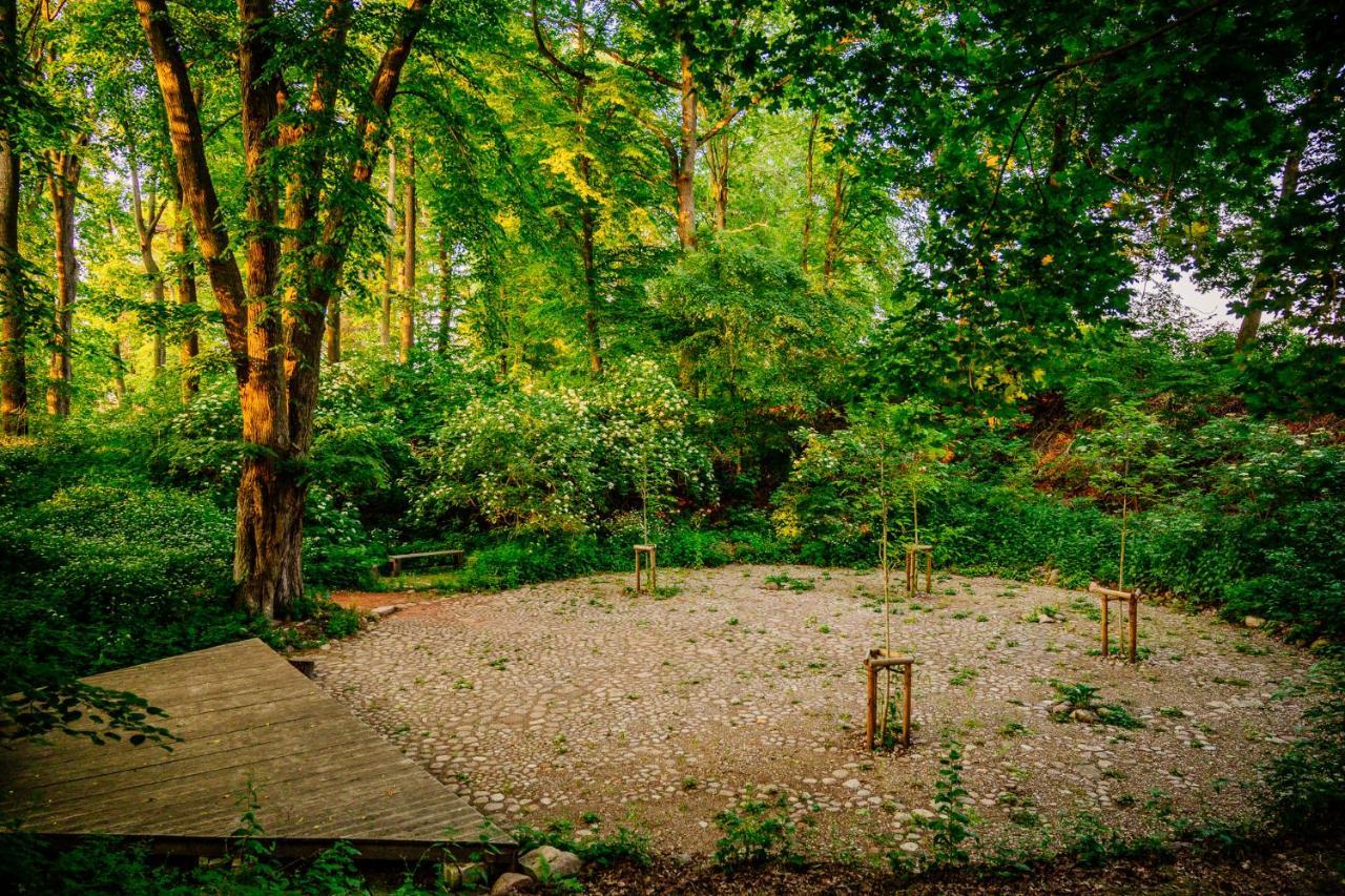 Gut Boltenhof Fürstenberg-Havel エクステリア 写真