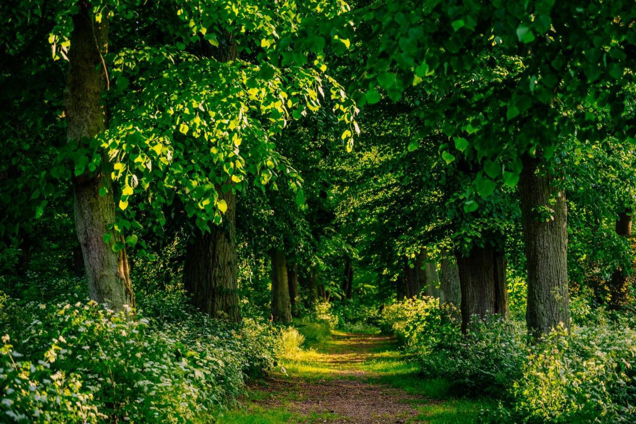 Gut Boltenhof Fürstenberg-Havel エクステリア 写真